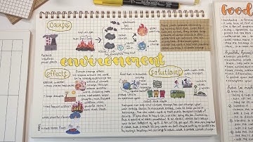 Từ vựng IELTS chủ đề Environment (Môi trường) | Environment vocabulary