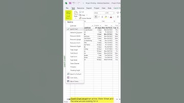 HOW TO quickly print MULTIPLE BASELINES in Microsoft Project #microsoft #projectmanagement