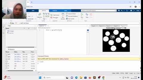 Segmentasi Citra dan Thresholding