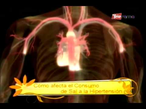 sal hipertension c 243 mo afecta el consumo de sal a la hipertensi 243 n youtube sal hipertension c 243 mo afecta el consumo de sal a la hipertensi 243 n youtube
