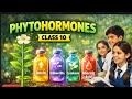 Phytohormones introduction and function class 9