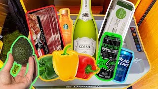 How Much Can a Van Fridge Hold? Tips, Tricks, & Review
