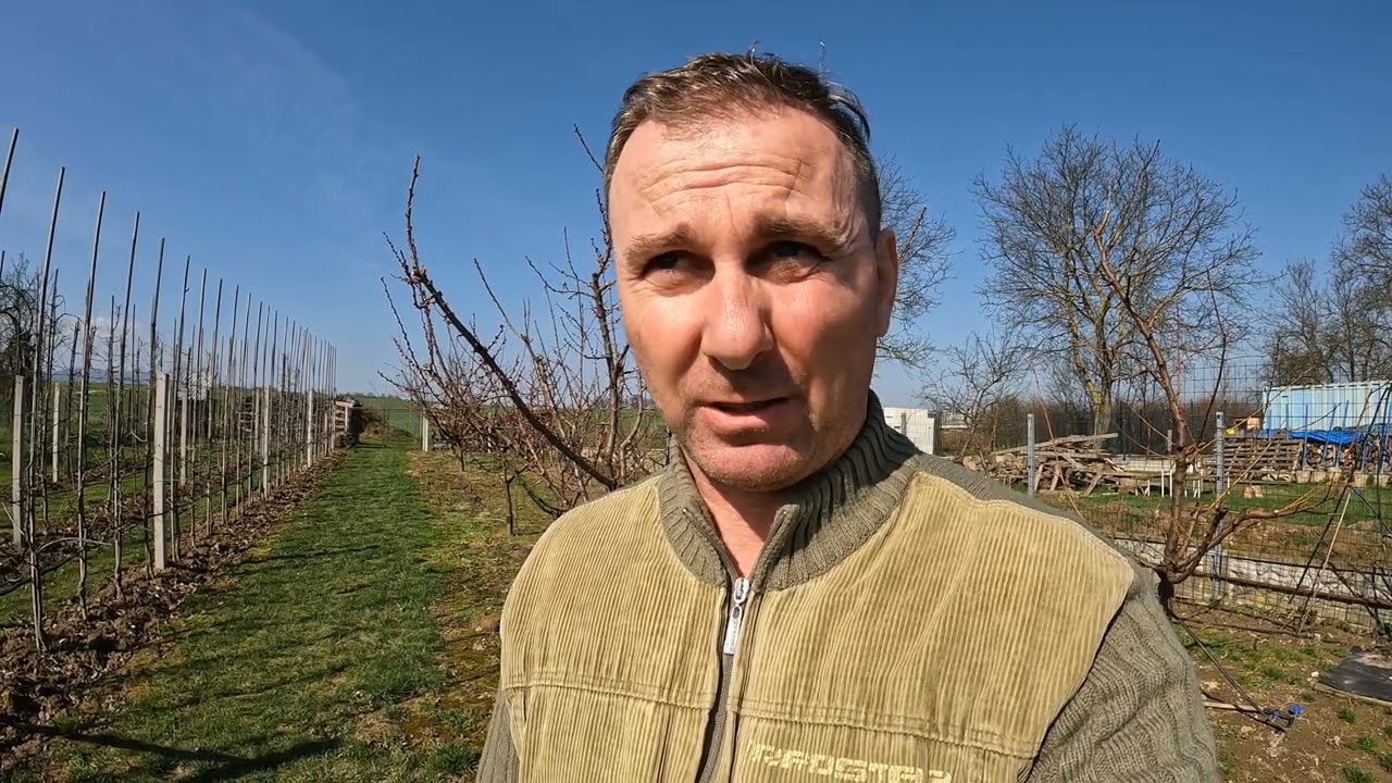 16.03.2024 Kučeravosť broskýň , začíname s ochranou