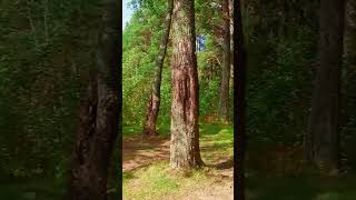 Отдых для детей #рыбалка #селигер #природа