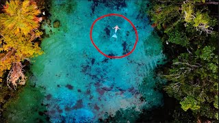 Dolphin &amp; mermaid drone footage: most beautiful blue lagoon set to relaxing music- June 2022 4K