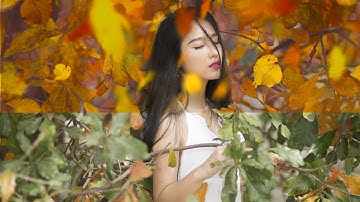 How to Create Fall Autumn Leaves fast and easy in Adobe Photoshop CC 2020 Tutorial #32