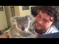 "Lucy" The Orphaned Baby Koala, Who stole our hearts....