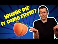 The Secret Origin of Peaches | Crowd Work 2