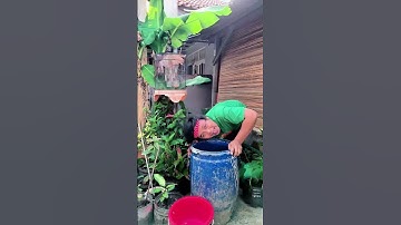 video kocak dan gokil @suciptomartinreal / Adek Mau Renang #shorts
