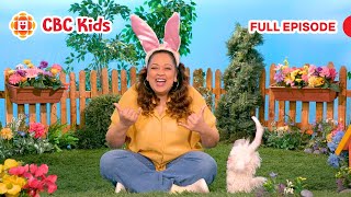 Asl Preschool Show Bunnies Silly Paws Cbc Kids