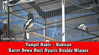 Download Lagu Sumber Raya Cup 2 - Tampil Power Full Kacer Dewa Ruci Nyaris Double Winner MP3