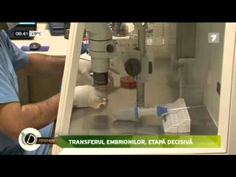 Video: Diferența Dintre înfrățirea Artificială A Embrionilor și Transferul Nuclear Al Celulelor Somatice