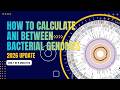 How to Calculate ANI Between 2 Bacterial Genomes Using Online Tools: 2026 Updated