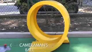 Armchair Traveler: Catalina MINI Golf