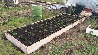 Ep23: New strawberry bed ALLOTMENT GARDEN HAPPINESS