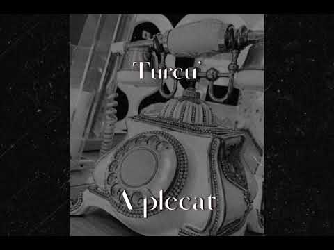Turcu’ - A plecat ( Audio )