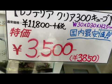 超お買い得な水槽が2種類！あの水槽が国内最安値で販売(たぶん)！！テラリウムに使える水槽！爬虫類育成やパルダリウムに使える水槽！あなたはどちらを選ぶ？