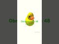 Pato