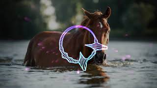 Diplo Feat. Tove Lo - Win Win Yotto Remix