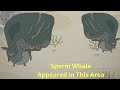How to find sperm whale  wild tamer 107  androidios gameplay  walkthrough