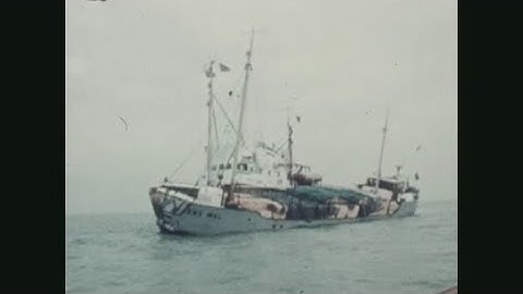 News Item (93aa537a-7ae9-30f5-9e23-1a2d2c27bff4)