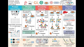 Breakthroughs in Proteomics & Single Molecule Protein Sequencing