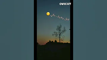 تعال وشوف حالي جرح بين الليالي 