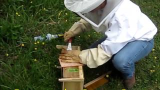 bee install 2013