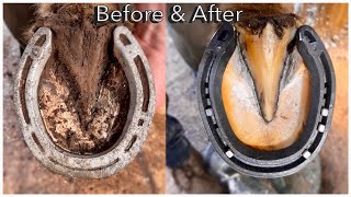 SUPER SATISFYING HOOF RESTORATION