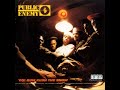 Public Enemy Raise The Roof Yo Bum Rush The Show mp3