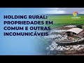 Holding rural propriedades em comum e outras incomunicveis