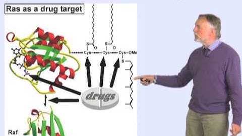 Ras oncogene - Alfred Wittinghofer (MPI)