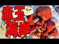 レッドジャスパーがいっぱい‼【静岡県 伊豆市･赤玉海岸】メノウもあったぞ！