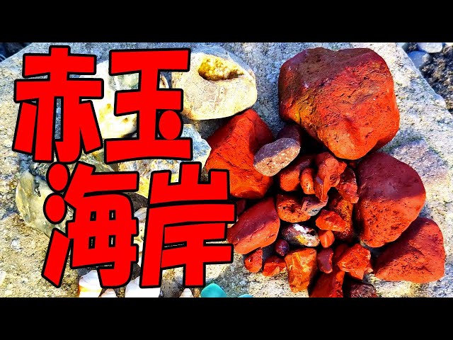 Lots of red jasper! [Akadama Beach, Izu City, Shizuoka