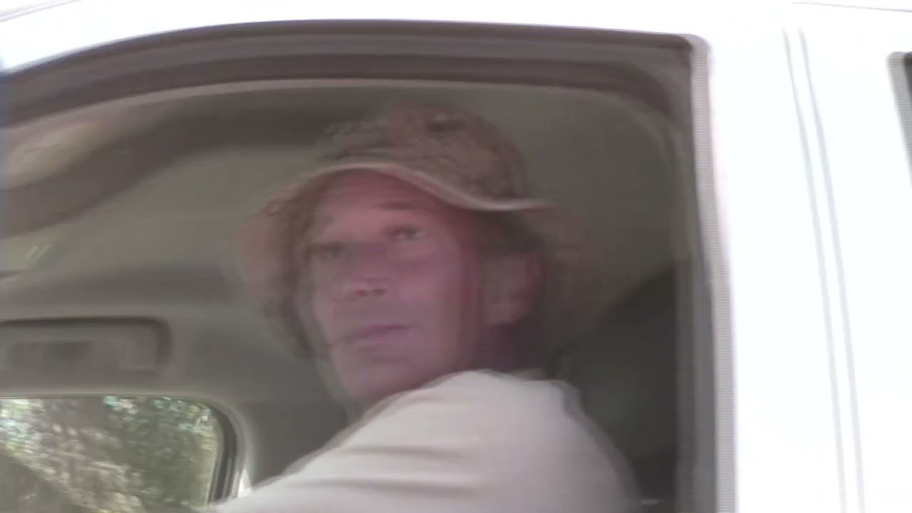 How To Inspect Oak Trees for Goldspotted Oak Borer