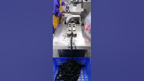 Cuttlefish Sausage Electric Sausage Tying Machine  #saucefillingmachine #factory