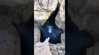 Scarey as hell😱😱😱 #shorts #adventure #satisfying #amazing #nature