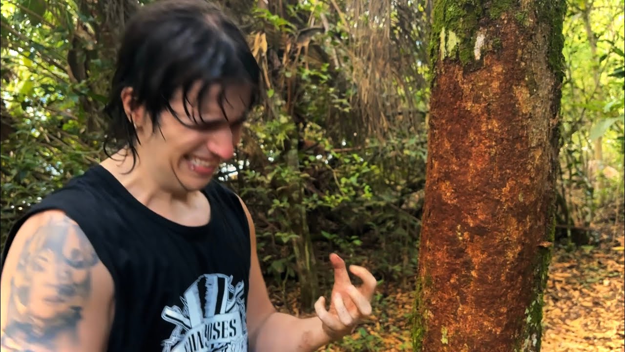 ASMR o PURO da NATUREZA pra relaxar e dormir 