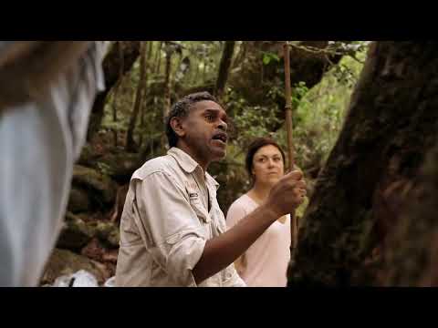 Voyages - Mossman Gorge | Discover Aboriginal Experiences | Tourism Australia