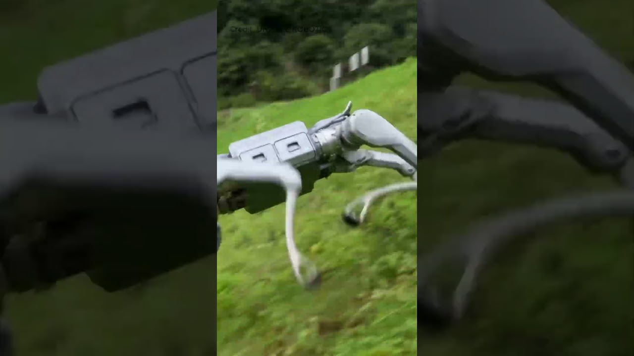 Unitree’s New A2 Robot Dog Flips, Climbs and Carries 100kg