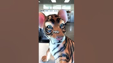 At 15 my best friend and I made a pact to never break our Snapchat streak, It just ended at-