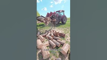 Cutting firewood