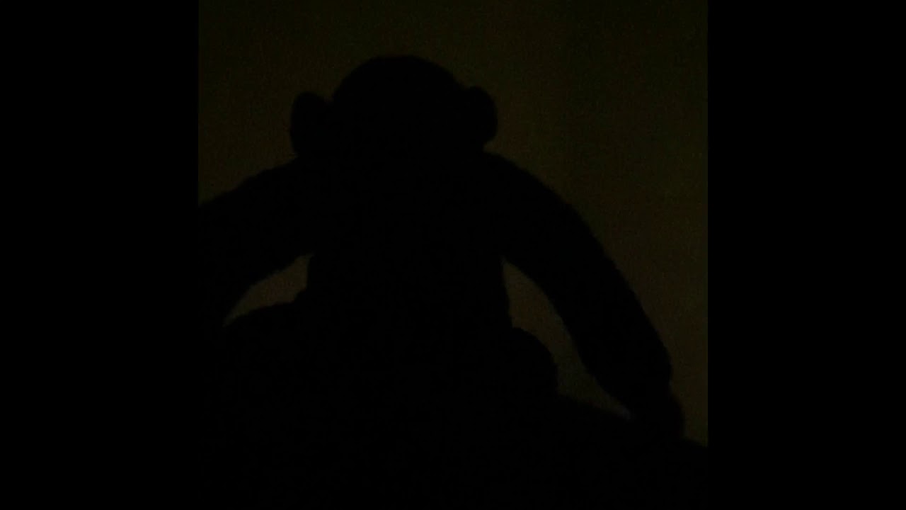 The birth of Dabbing Monkey