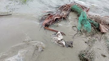 NGÀY ĐI CÂU CÁ RÔ PHI CUỐI MÙA NƯỚC LÊN - TẬP 1