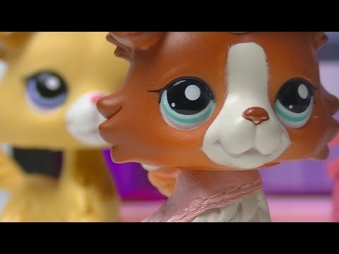 ♥ LPS Troublemaker - Episode 11 (Forgiveness) SERIES FINALE ♥