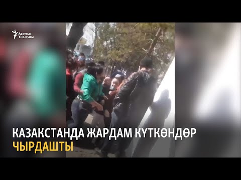 Video: Эмне үчүн саясат пайда болду