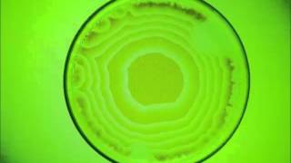 Tracking complex reactions in space and time screenshot 4