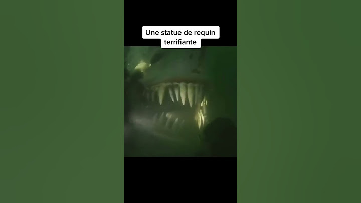 les choses les plus étranges, trouvées sous l’eau 😨