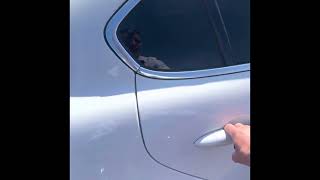Alfa Romeo Giulia White with Red interior