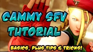 Street Fighter - Cammy is quick and agile, able to get in and keep on the  pressure. Learn more about Cammy's lightning quick moves in our original  Character's Guide: 🐝